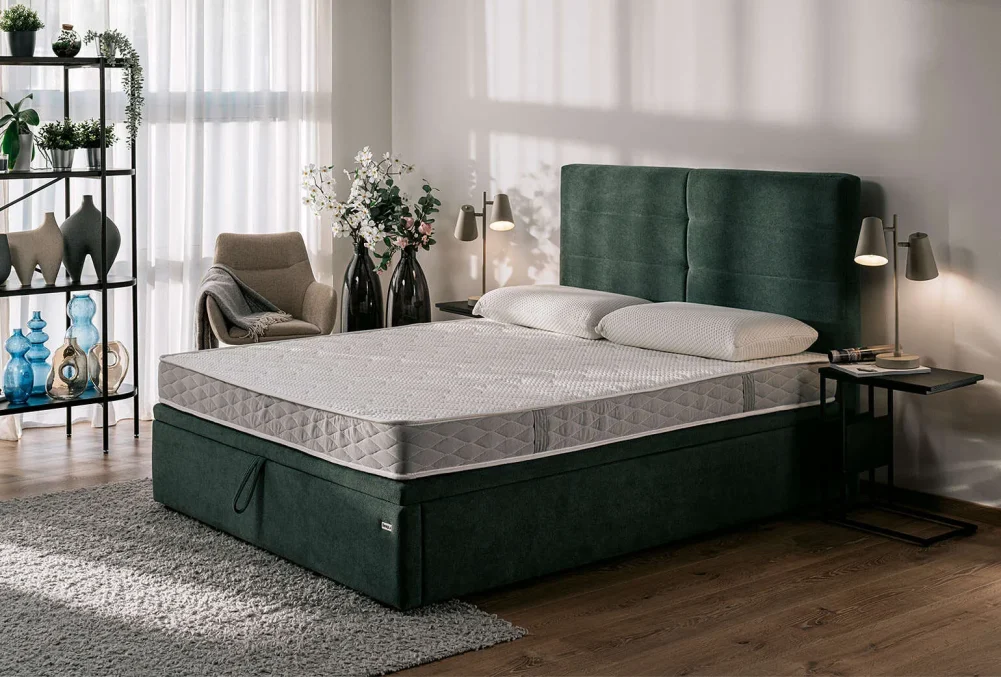 hespo-anni-rollo-plus-2md-ika